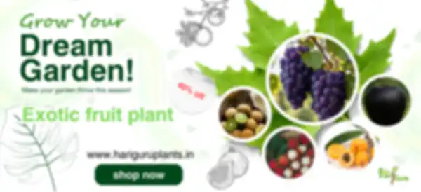 BANNER_undefined__undefined