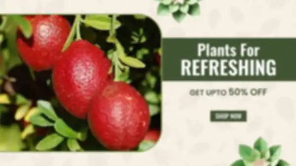 BANNER_undefined__undefined