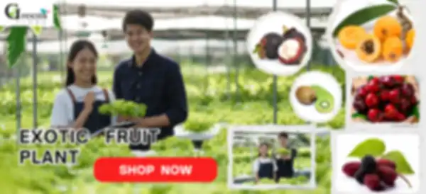 BANNER_undefined__undefined