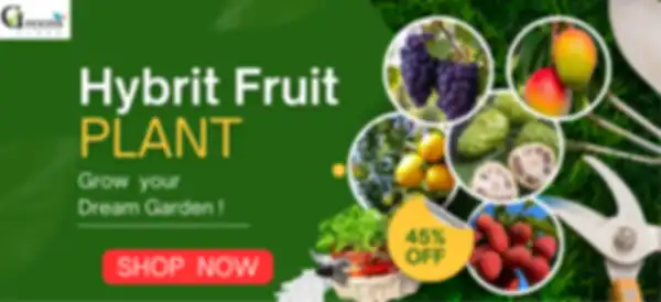 BANNER_undefined__undefined