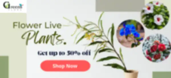 BANNER_undefined__undefined