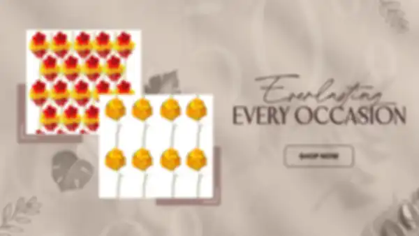 BANNER_undefined__undefined