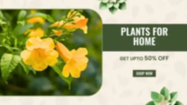 BANNER_undefined__undefined