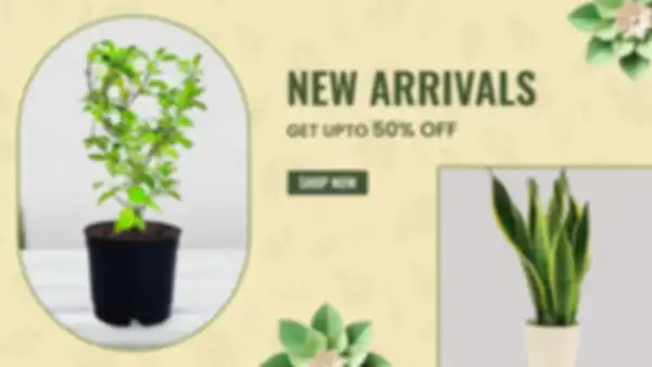 BANNER_undefined__undefined