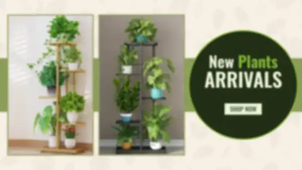 BANNER_undefined__undefined