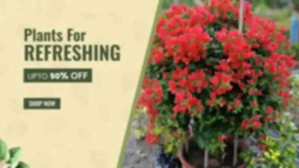 BANNER_undefined__undefined