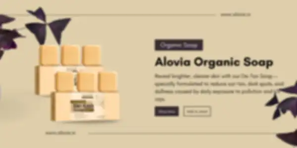 BANNER_undefined__undefined