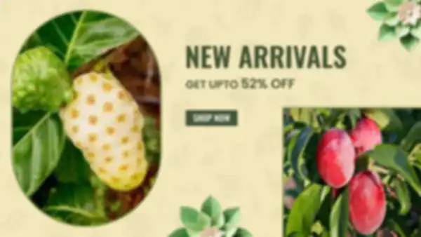 BANNERS_undefined__undefined