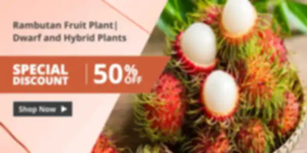 BANNERS_undefined__undefined