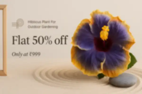 BANNERS_undefined__undefined