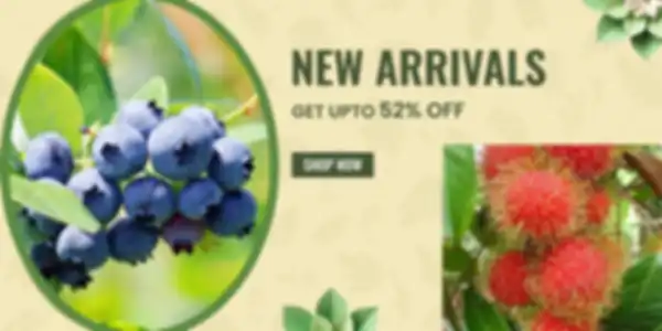 BANNERS_undefined__undefined