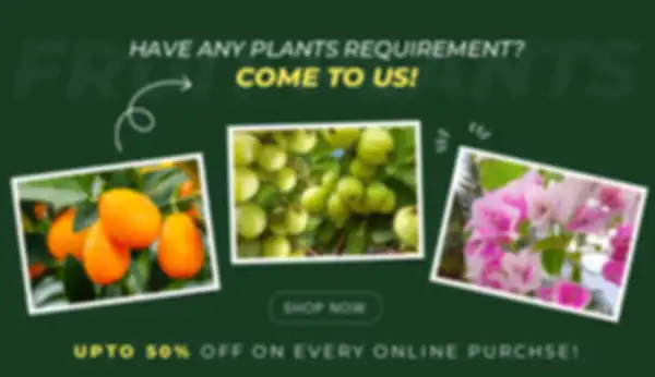 BANNERS_undefined__undefined