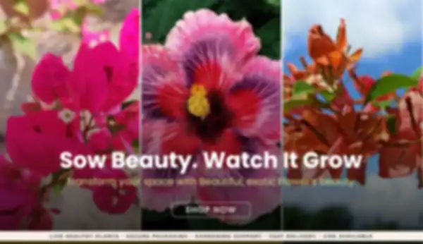 BANNERS_undefined__undefined