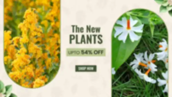 BANNER_undefined__undefined