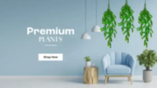 BANNER_undefined__undefined