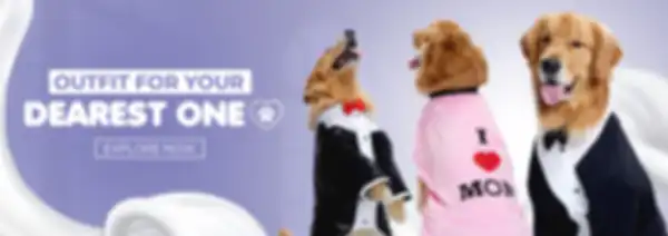 BANNER_undefined__undefined