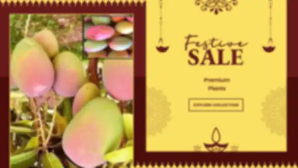 BANNERS_undefined__undefined