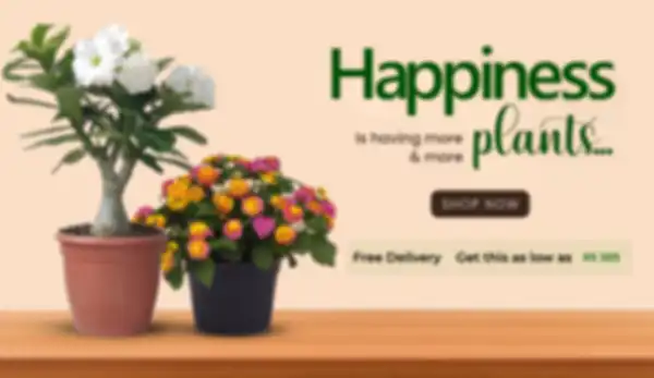 BANNERS_undefined__undefined