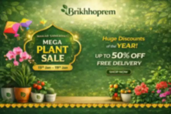 BANNERS_undefined__undefined