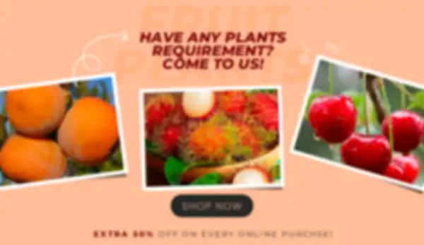 BANNERS_undefined__undefined