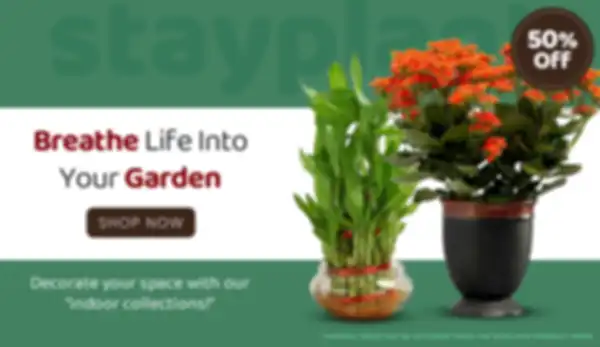 BANNERS_undefined__undefined