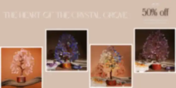 BANNER_undefined__undefined