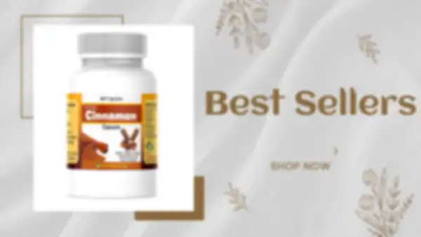 BANNER_undefined__undefined