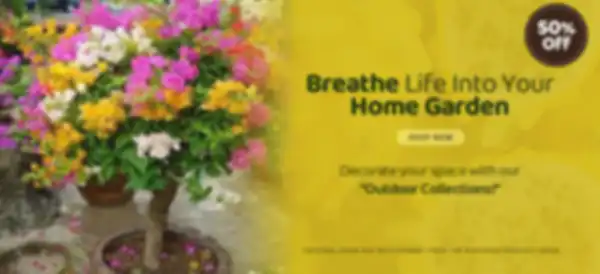 BANNER_undefined__undefined
