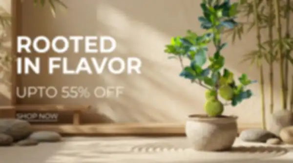 BANNER_undefined__undefined