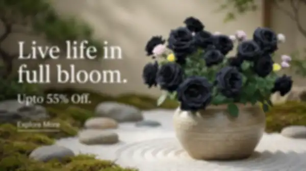 BANNER_undefined__undefined