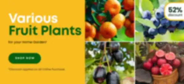 BANNER_undefined__undefined