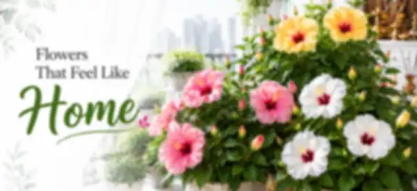 BANNER_undefined__undefined