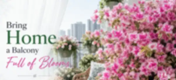 BANNER_undefined__undefined