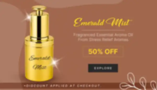 BANNER_undefined__undefined