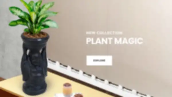 BANNER_undefined__undefined