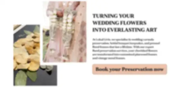 Book_your_preservation_now_undefined__undefined