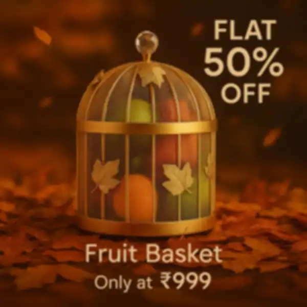 BANNER_undefined__undefined