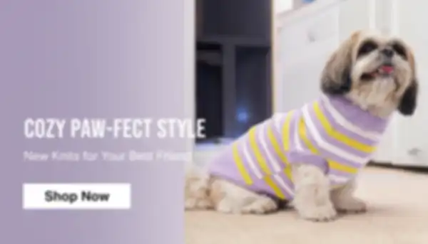 BANNER_undefined__undefined