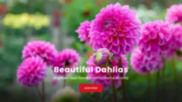 BANNER_undefined__undefined