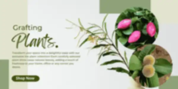 BANNER_undefined__undefined