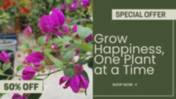 BANNER_undefined__undefined