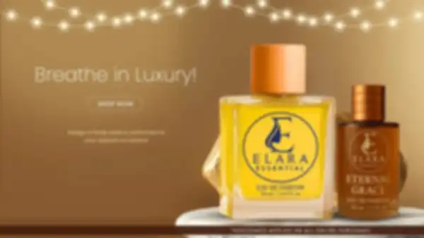 undefined__undefined