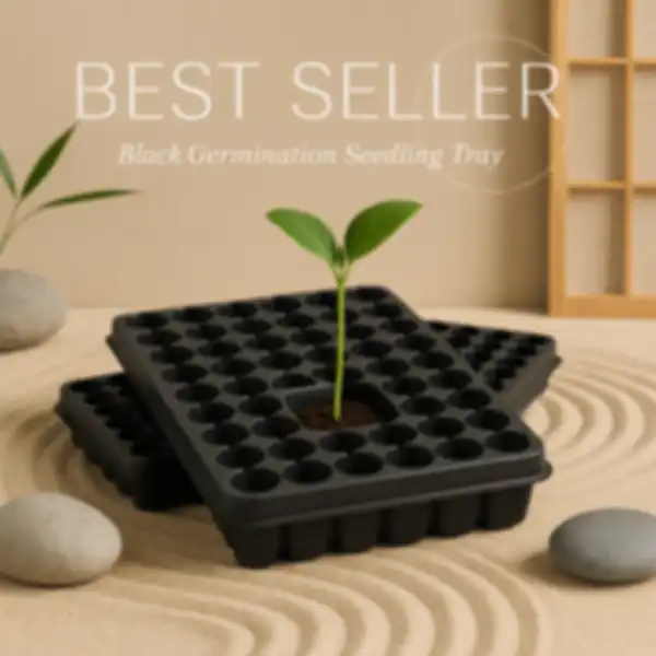 BANNER__undefined__undefined