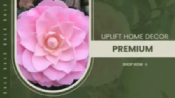 BANNER_undefined__undefined