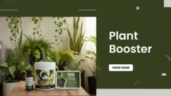 BANNER_undefined__undefined