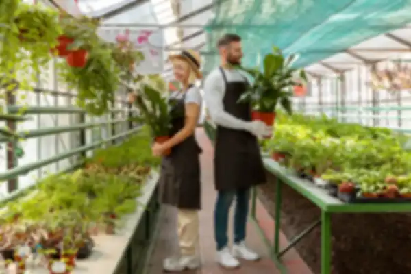 BANNER_undefined__undefined