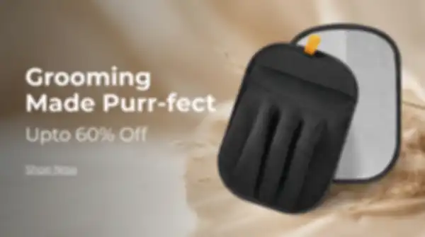 undefined__undefined