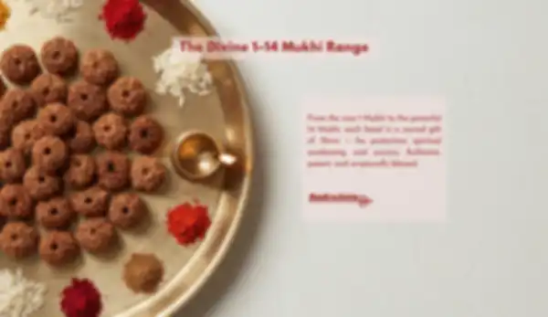 BANNER_undefined__undefined