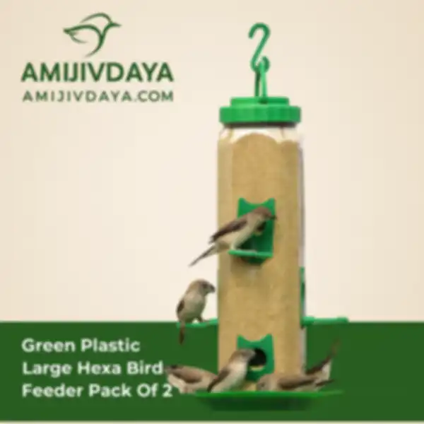 undefined__undefined