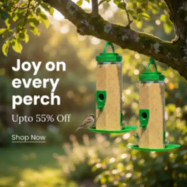 undefined__undefined